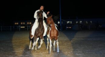 Si chiude tra gli applausi alla Tenuta Ambelia la 7ª Fiera Mediterranea del Cavallo