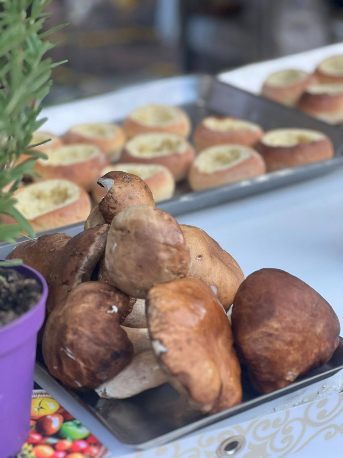 Alta cucina e made in Sicily: il Festival del Porcino punta al salto di qualità