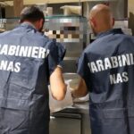 Sospensione bar pasticceria Catania, blatte nel laboratorio