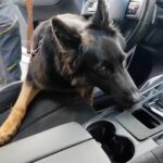 Sequestro cocaina San Gregorio, 22 chili nascosti nell’auto